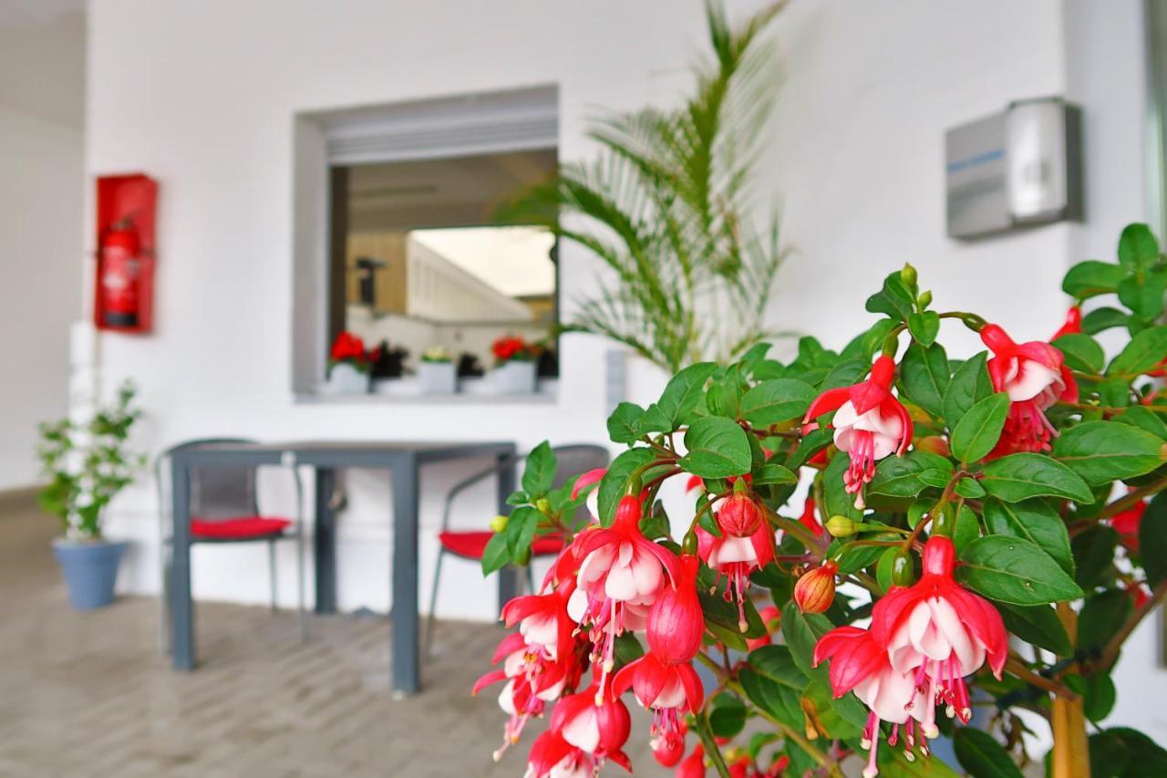 Hotel Adoma Gand Esterno foto